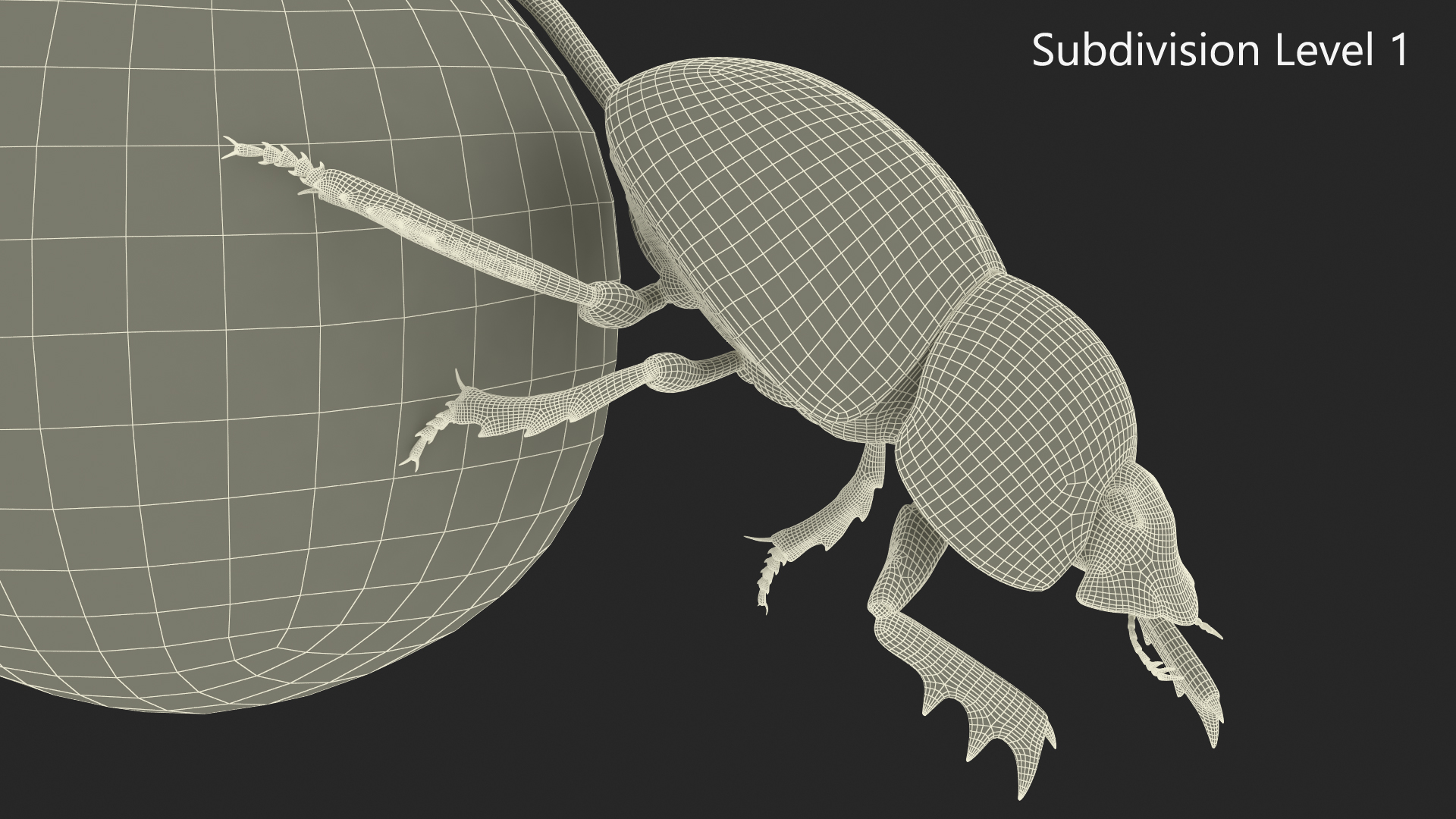 3D Roller Beetle Pushing Sphere Dirt model