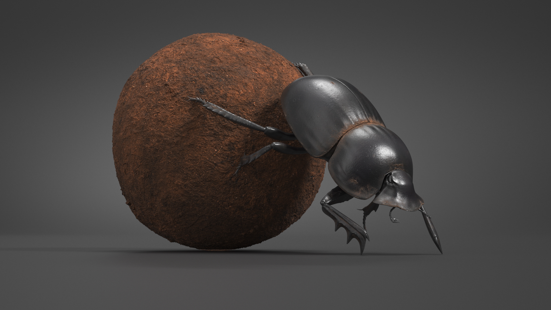 3D Roller Beetle Pushing Sphere Dirt model