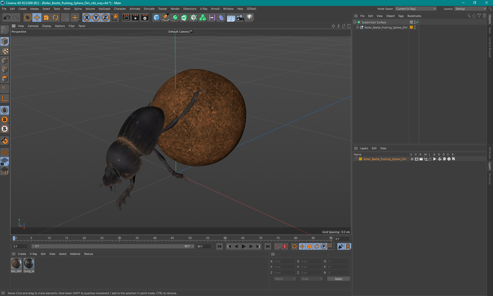 3D Roller Beetle Pushing Sphere Dirt model