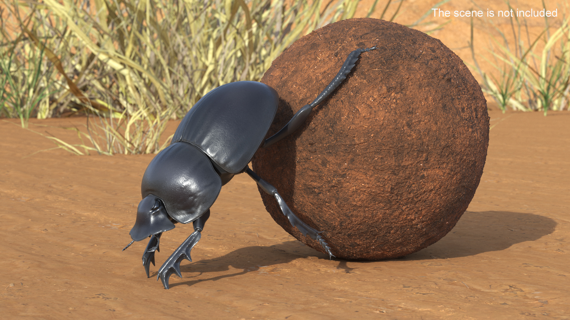 3D Roller Beetle Pushing Sphere Dirt model