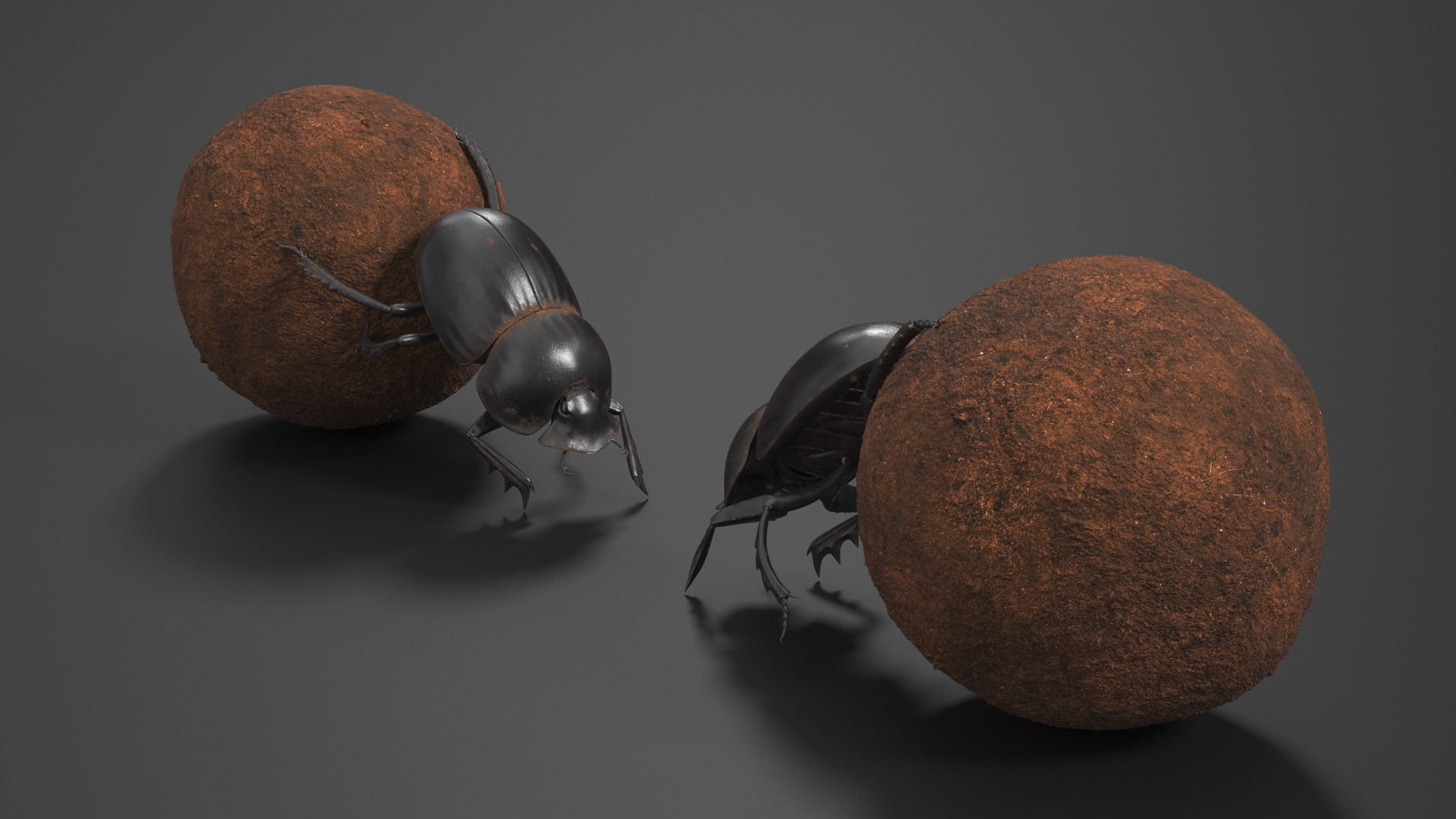 3D Roller Beetle Pushing Sphere Dirt model