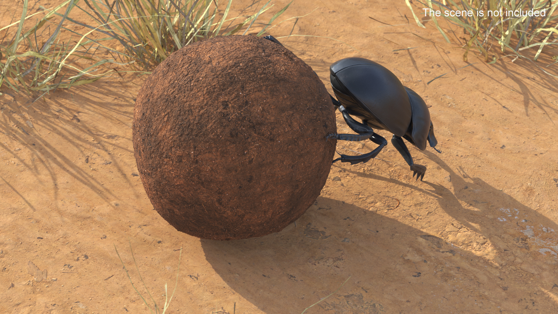 3D Roller Beetle Pushing Sphere Dirt model
