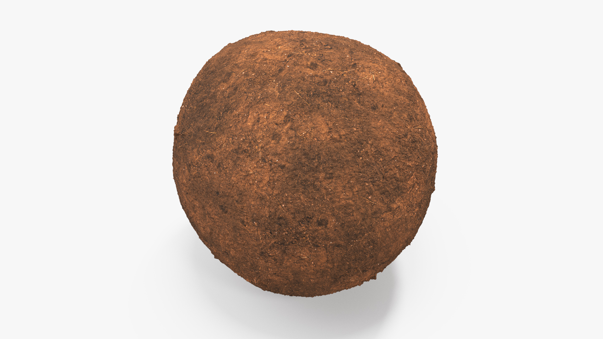 3D Roller Beetle Pushing Sphere Dirt model