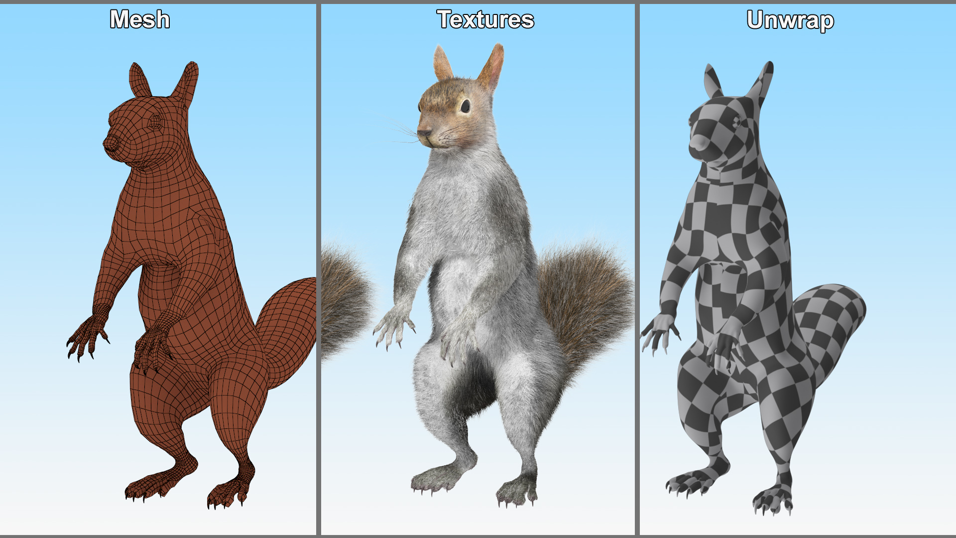 Gray Squirrel in Standing Pose Fur 3D model