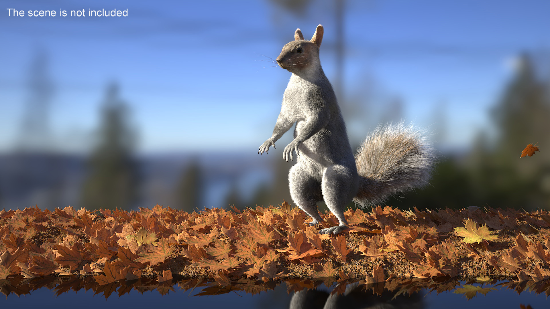 Gray Squirrel in Standing Pose Fur 3D model