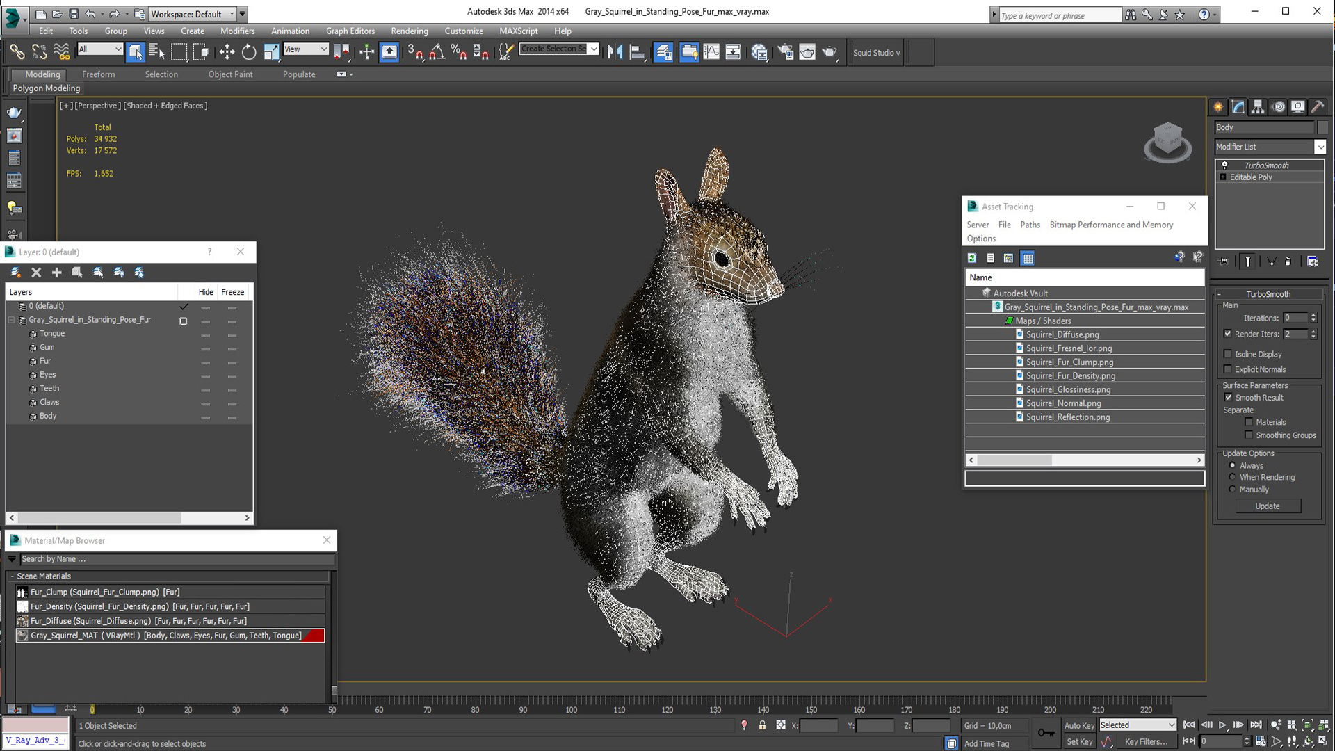 Gray Squirrel in Standing Pose Fur 3D model