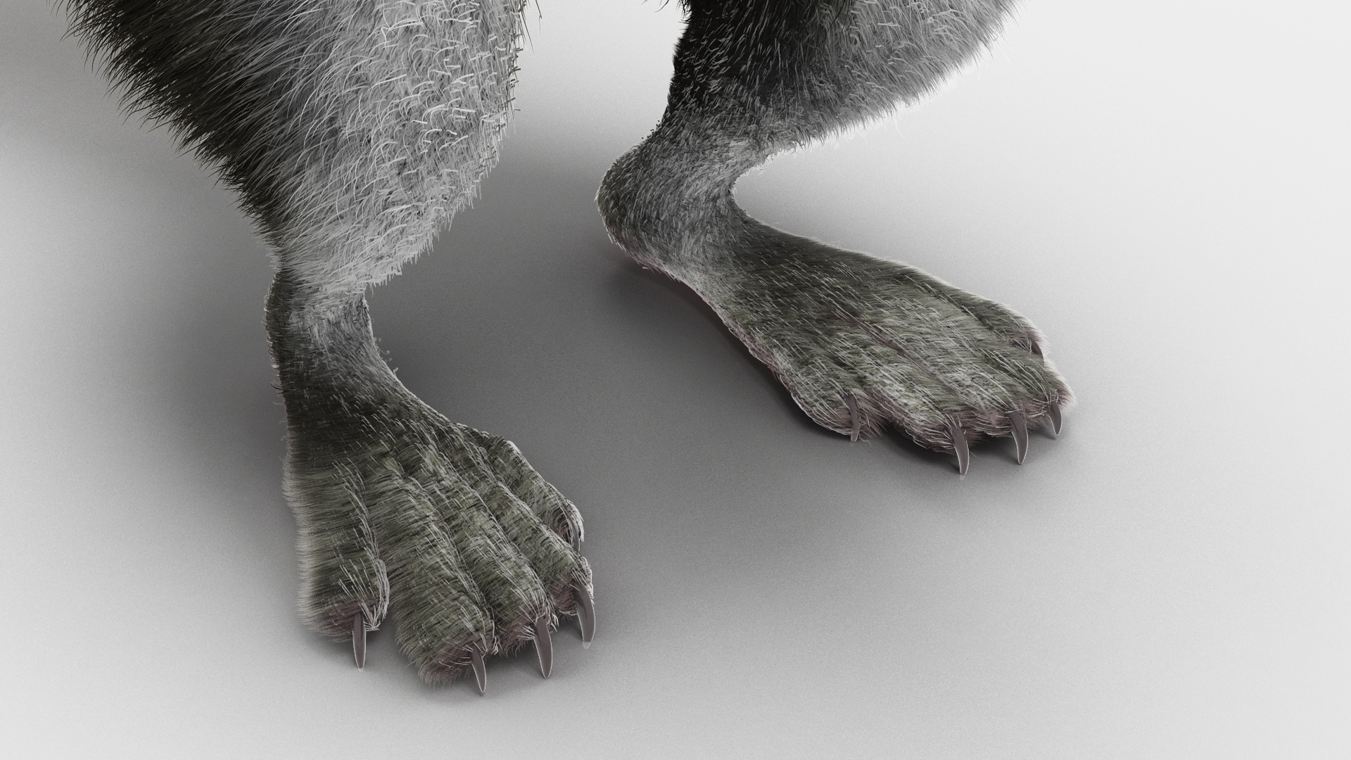 Gray Squirrel in Standing Pose Fur 3D model