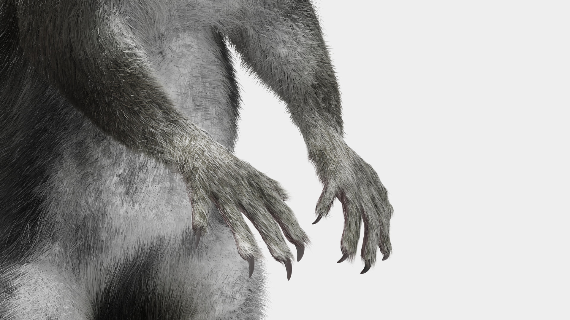 Gray Squirrel in Standing Pose Fur 3D model