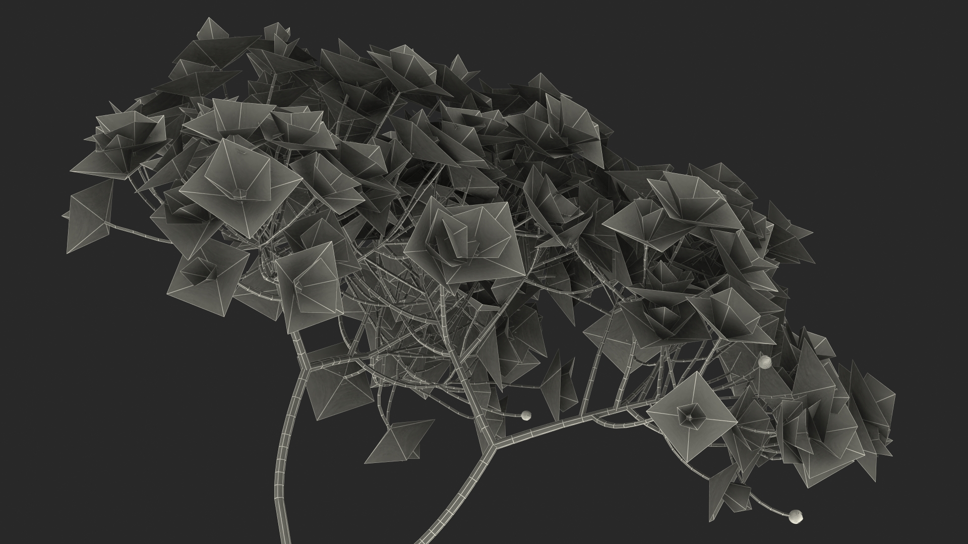 3D Blooming Spiraea Japonica Anthony Waterer Branch model