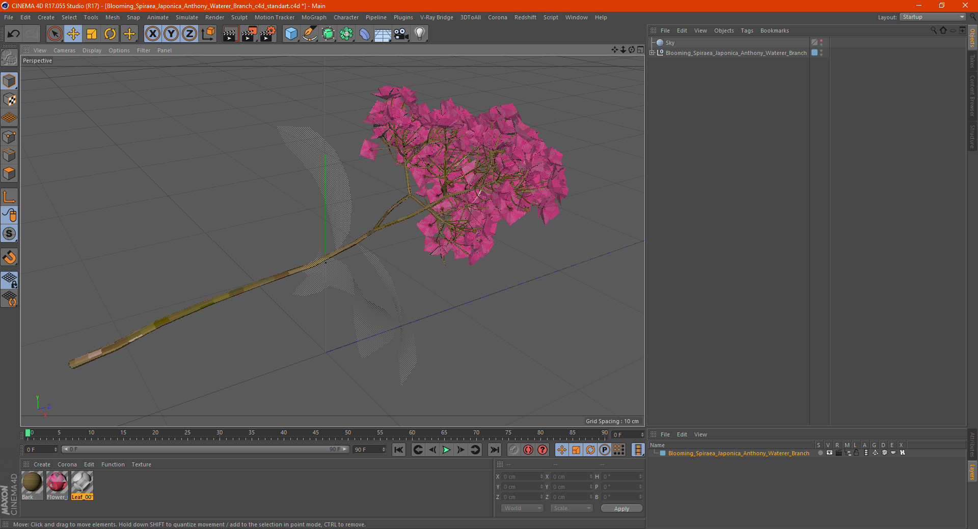 3D Blooming Spiraea Japonica Anthony Waterer Branch model