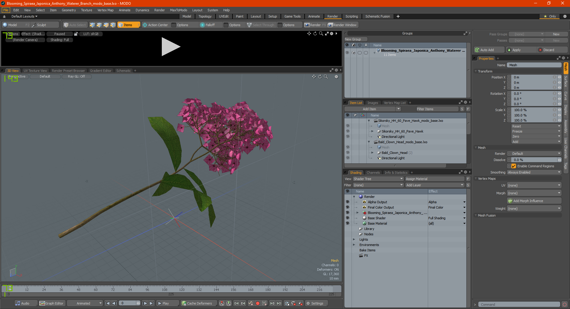 3D Blooming Spiraea Japonica Anthony Waterer Branch model
