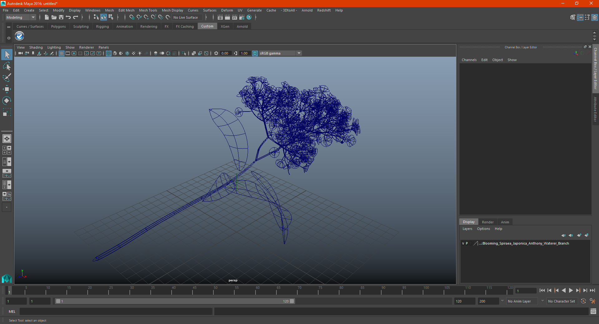 3D Blooming Spiraea Japonica Anthony Waterer Branch model