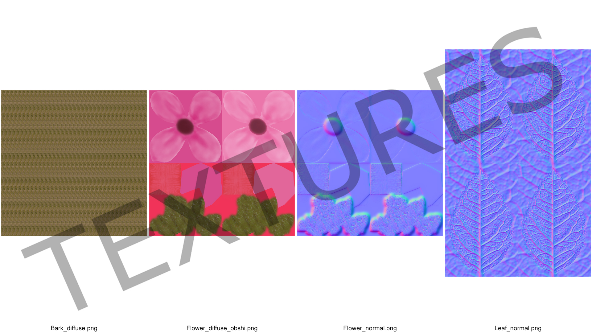 3D Blooming Spiraea Japonica Anthony Waterer Branch model