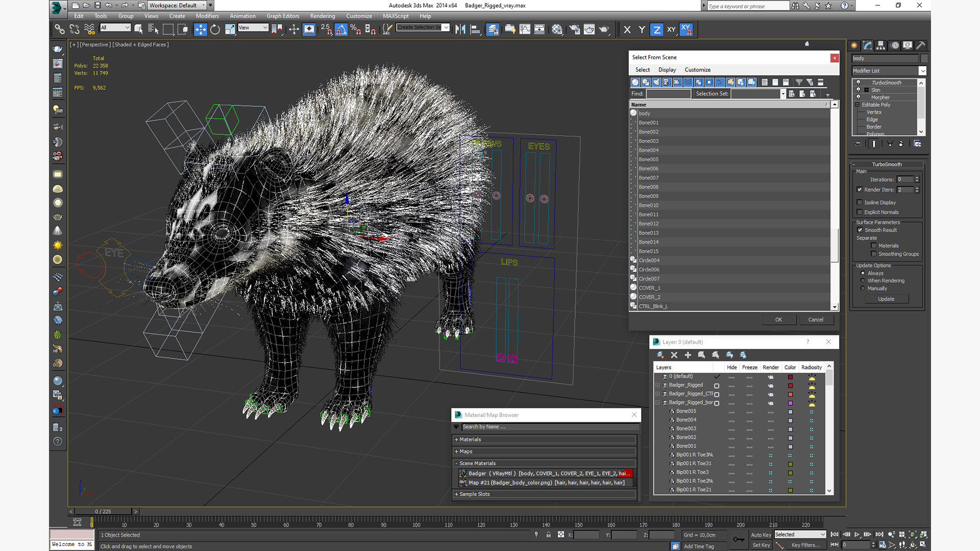 3D Badger Rigged model