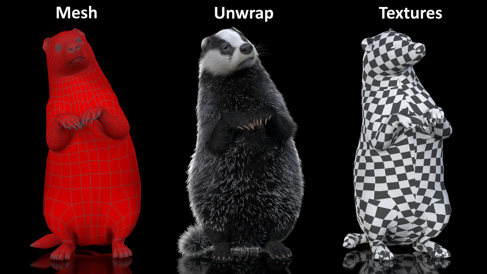 3D Badger Rigged model
