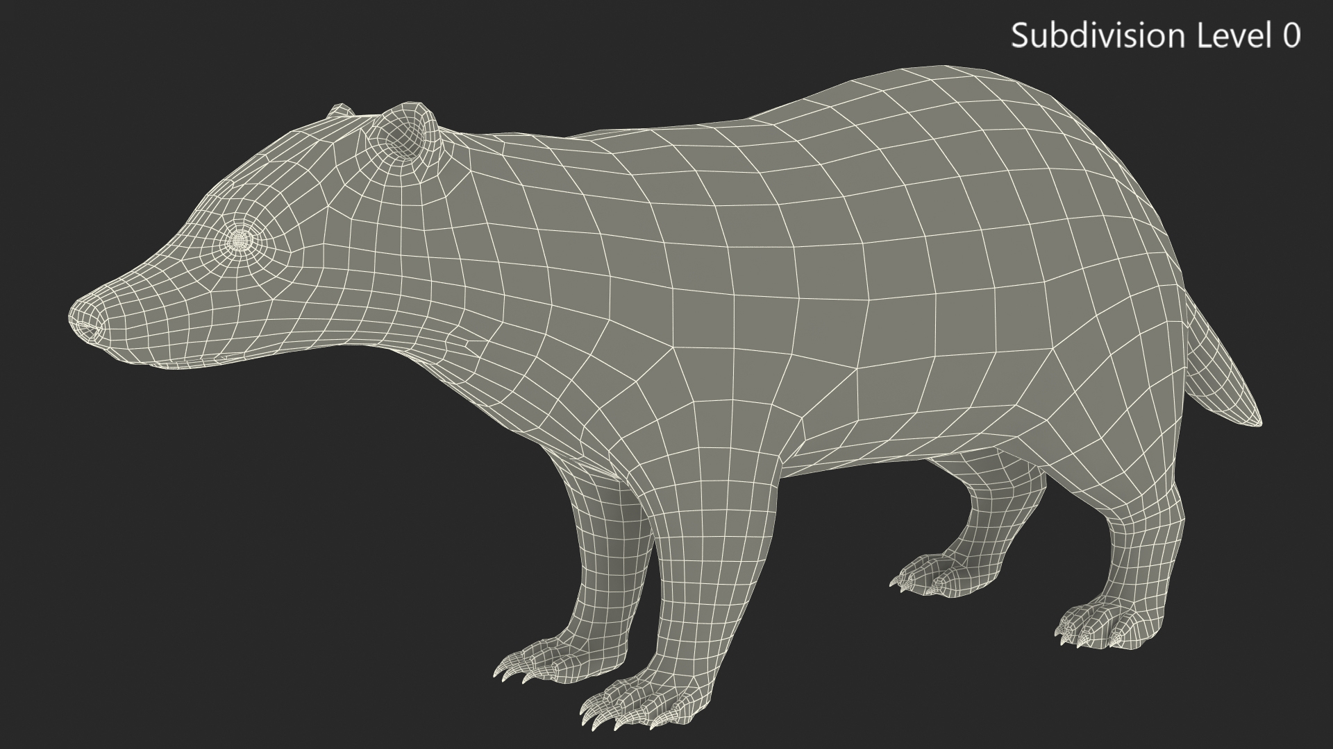 3D Badger Rigged model