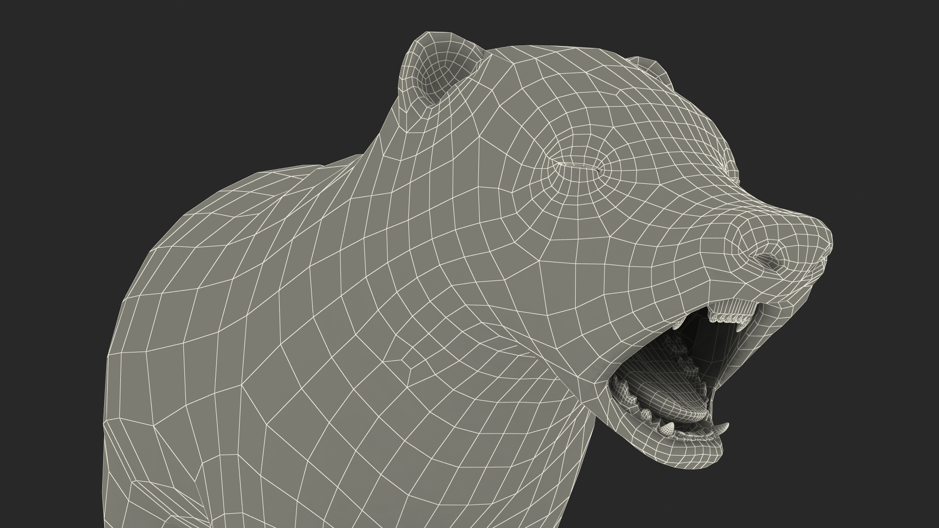 3D Badger Rigged model