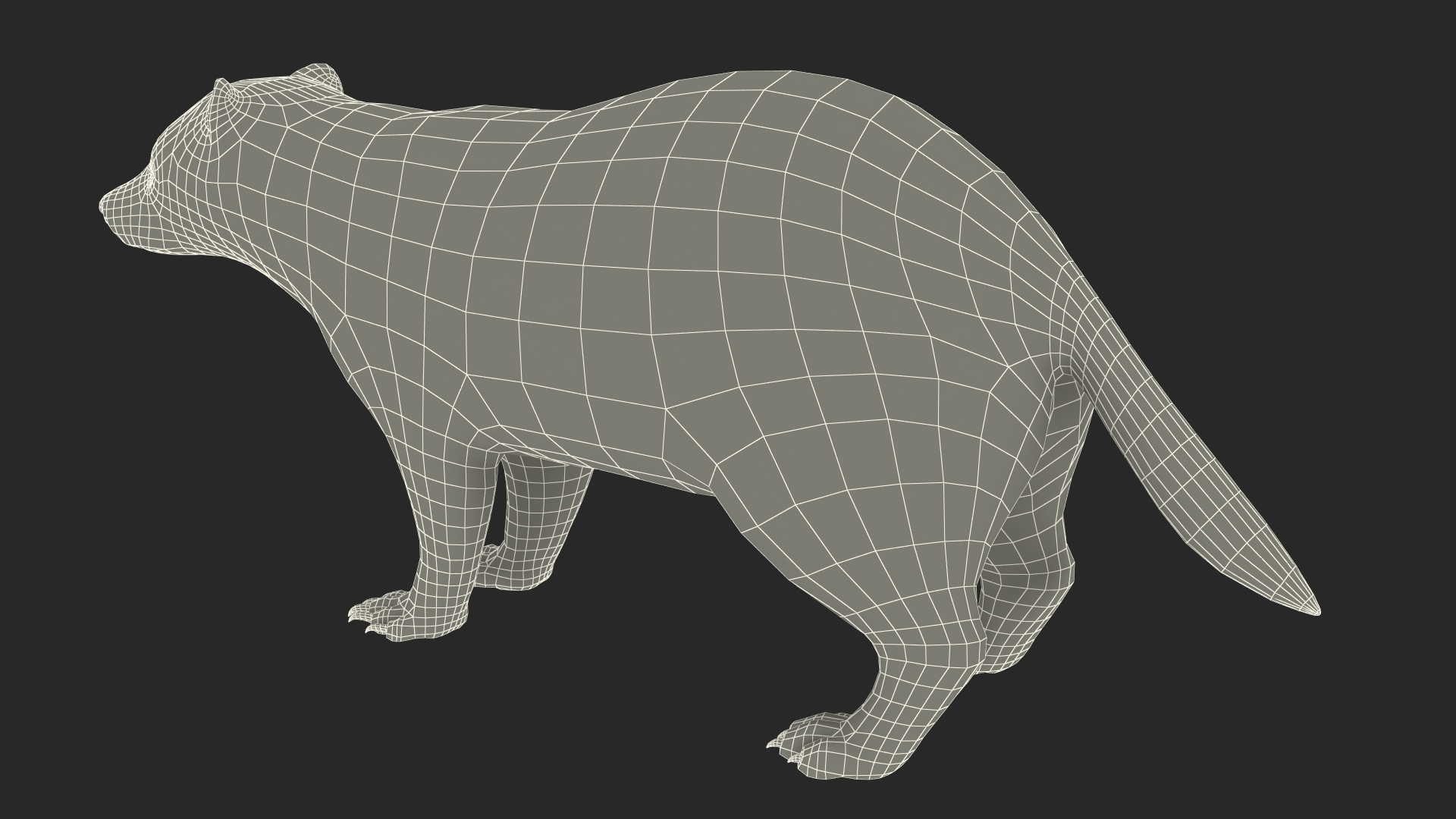 3D Badger Rigged model