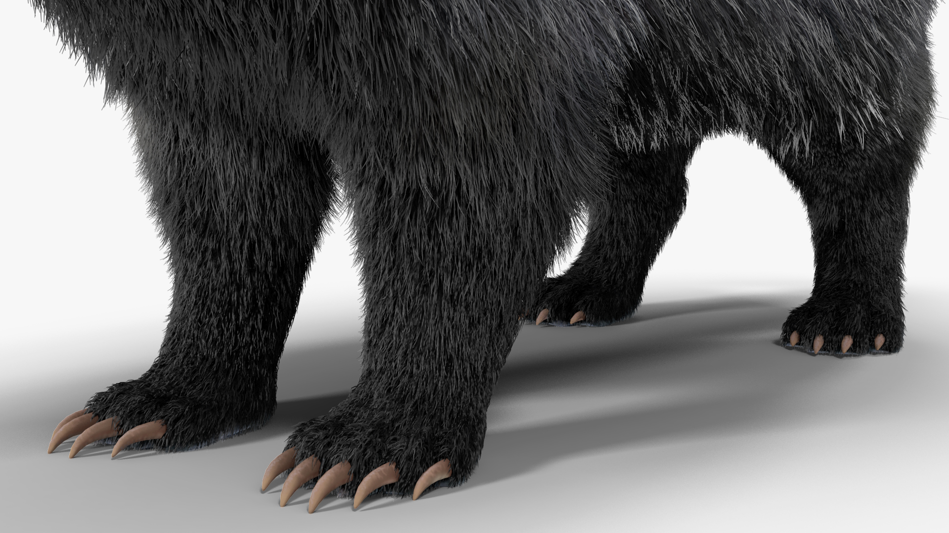 3D Badger Rigged model