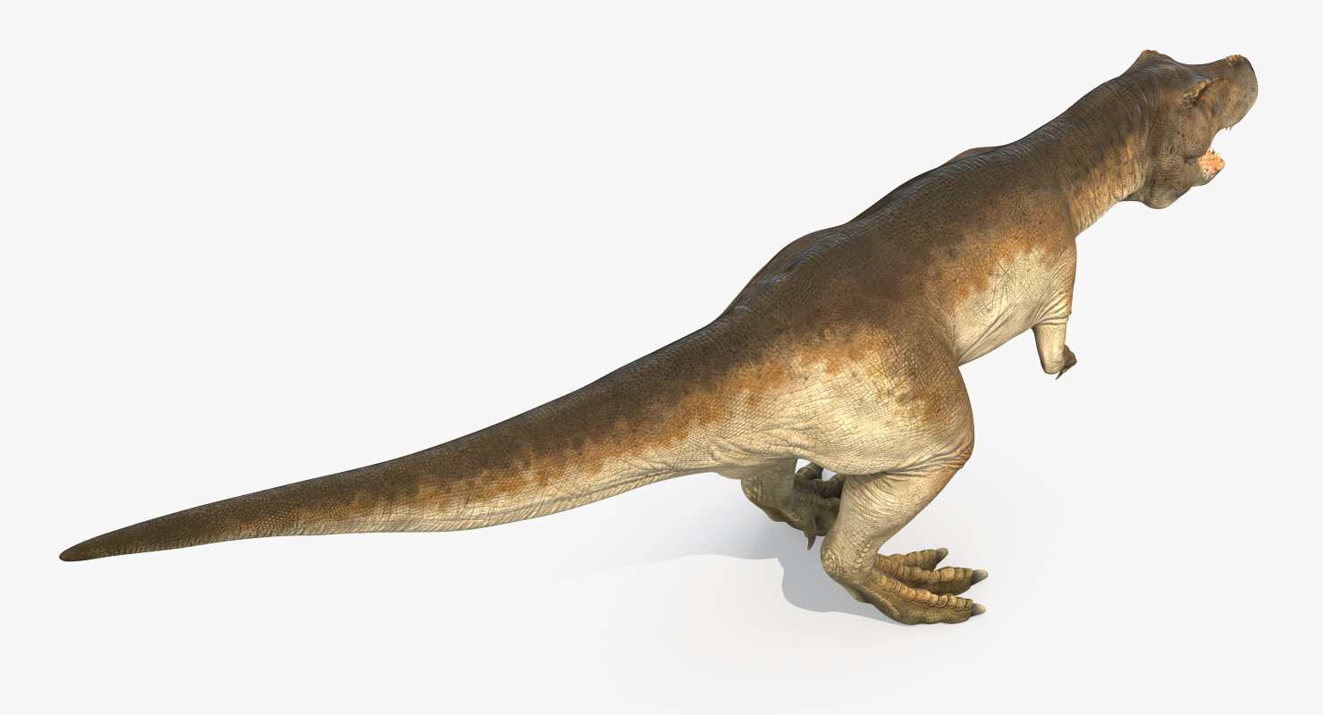 Tyrannosaurus Rex 3D