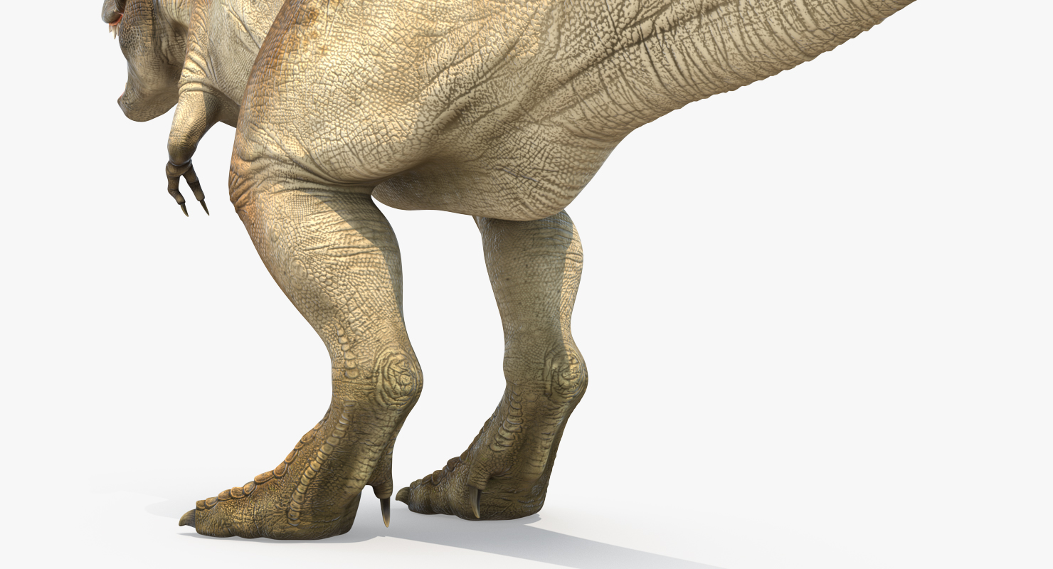 Tyrannosaurus Rex 3D