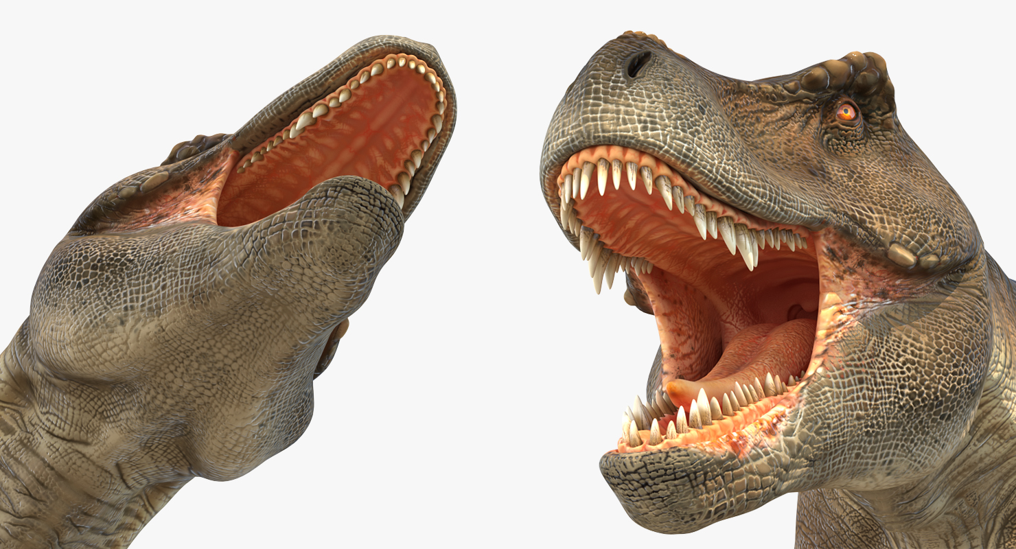 Tyrannosaurus Rex 3D