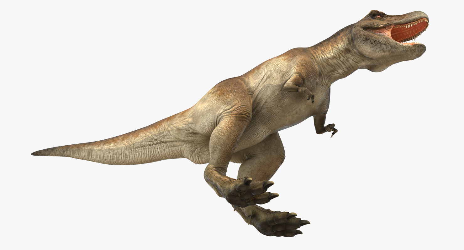 Tyrannosaurus Rex 3D