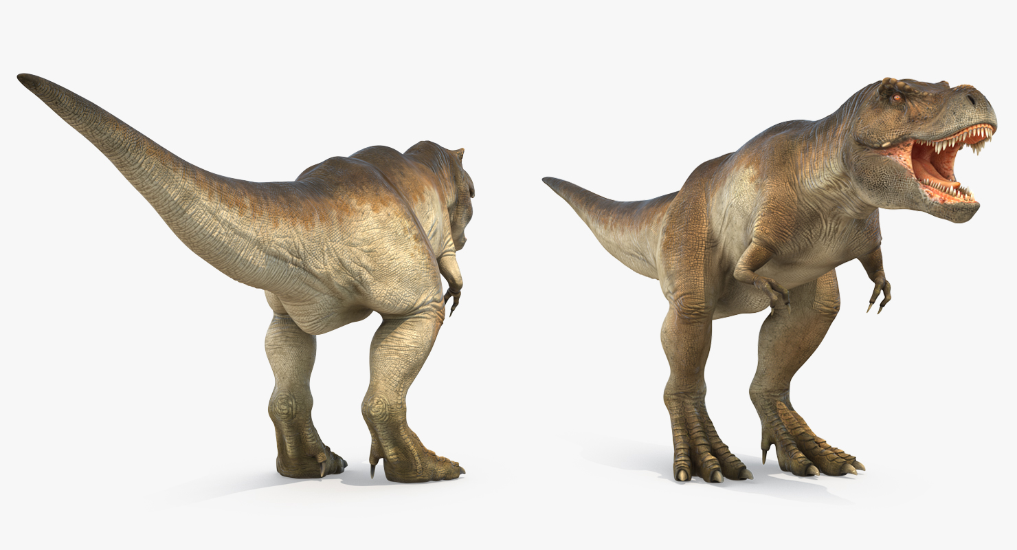 Tyrannosaurus Rex 3D