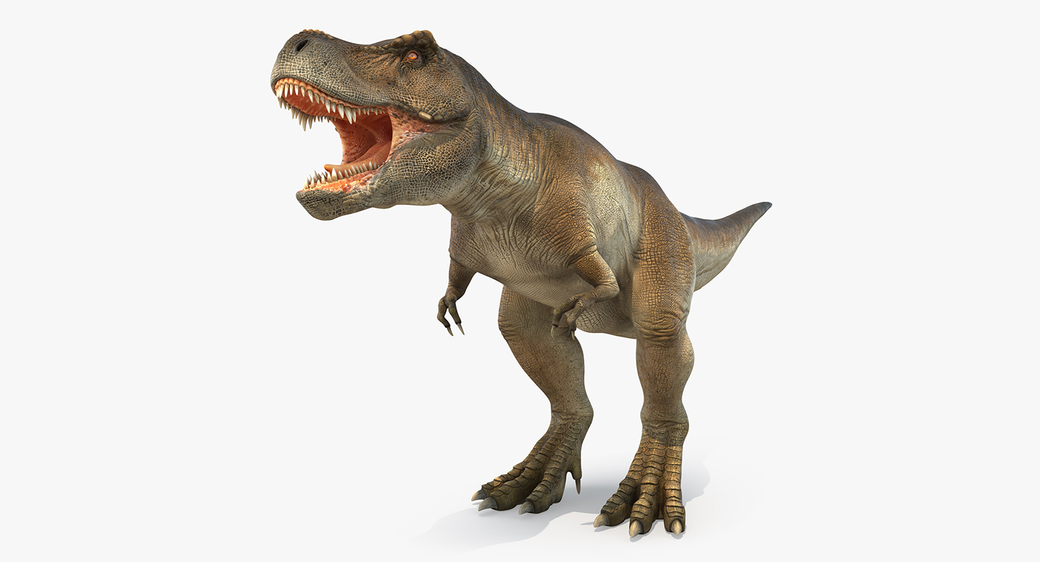 Tyrannosaurus Rex 3D
