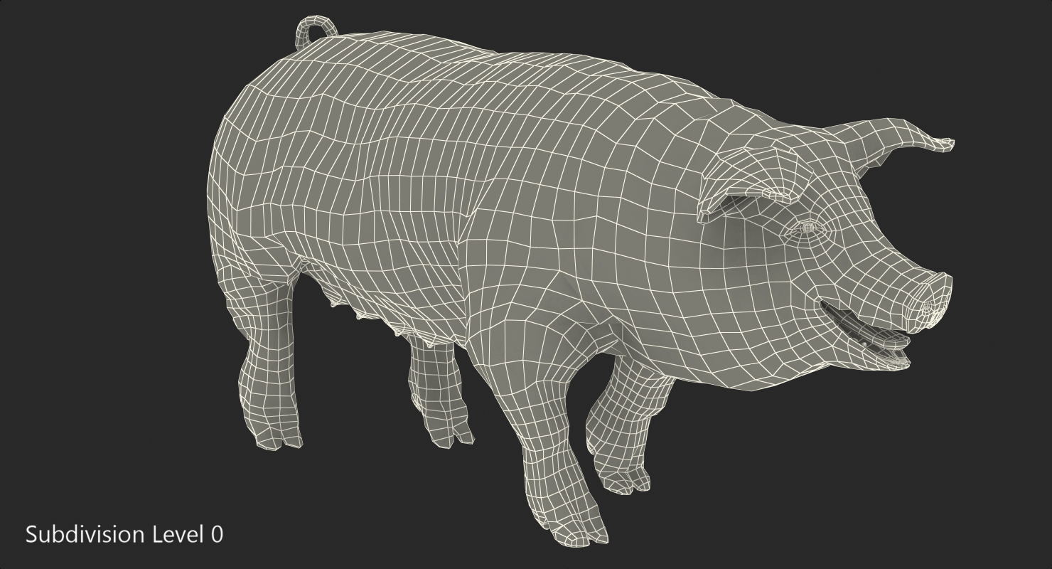 Hampshire Pig Sow with Fur Walking Pose 3D model
