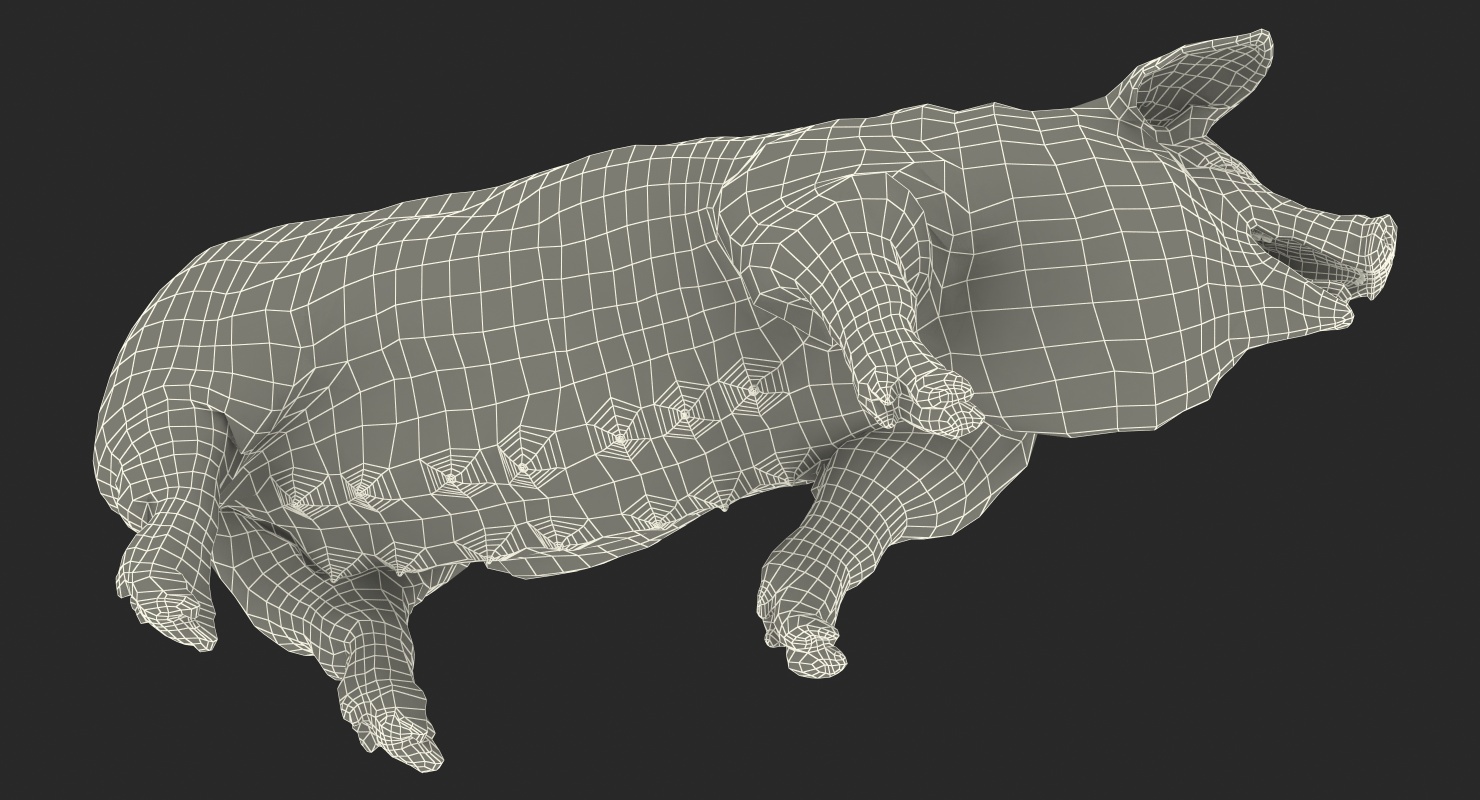 Hampshire Pig Sow with Fur Walking Pose 3D model