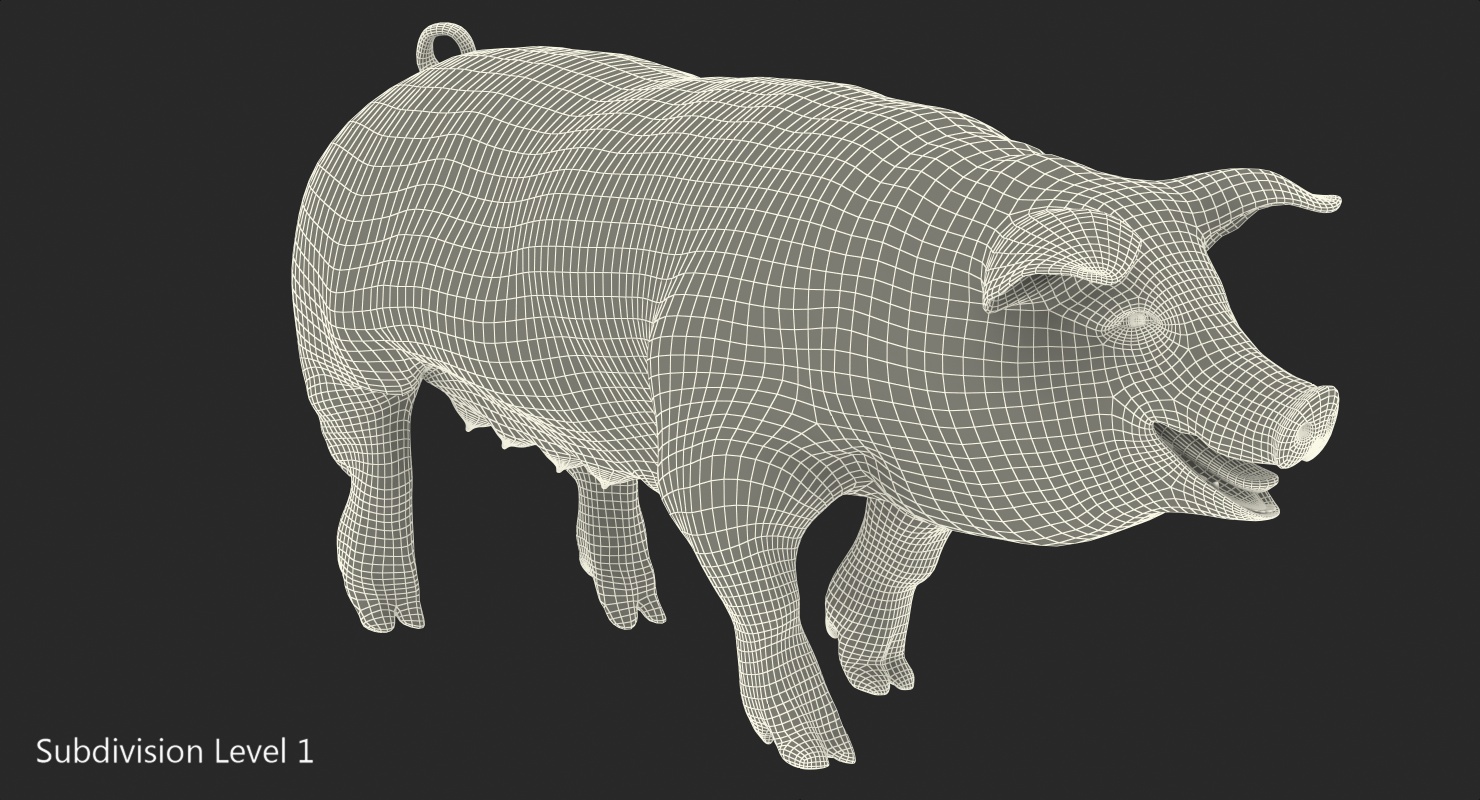 Hampshire Pig Sow with Fur Walking Pose 3D model