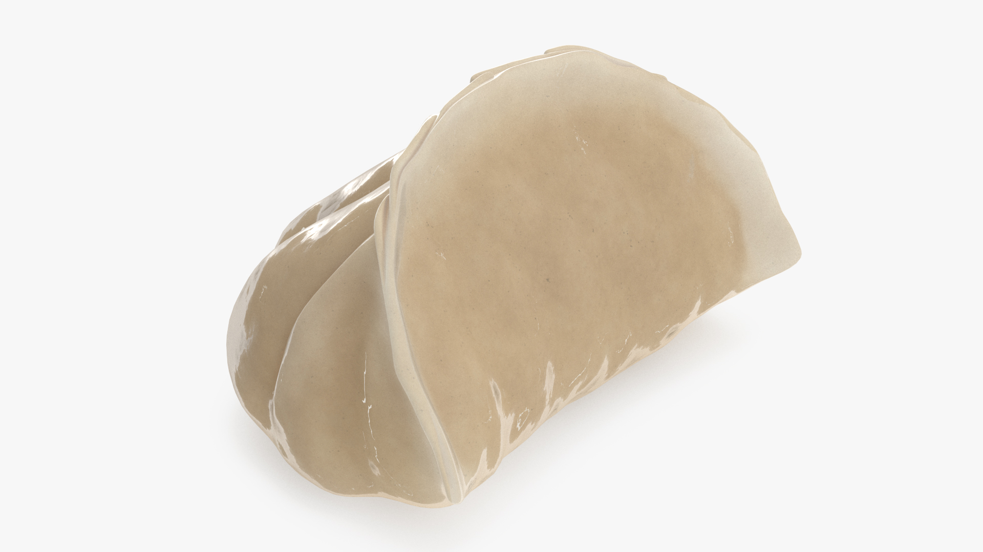 3D Chinese Dumpling Cooked model