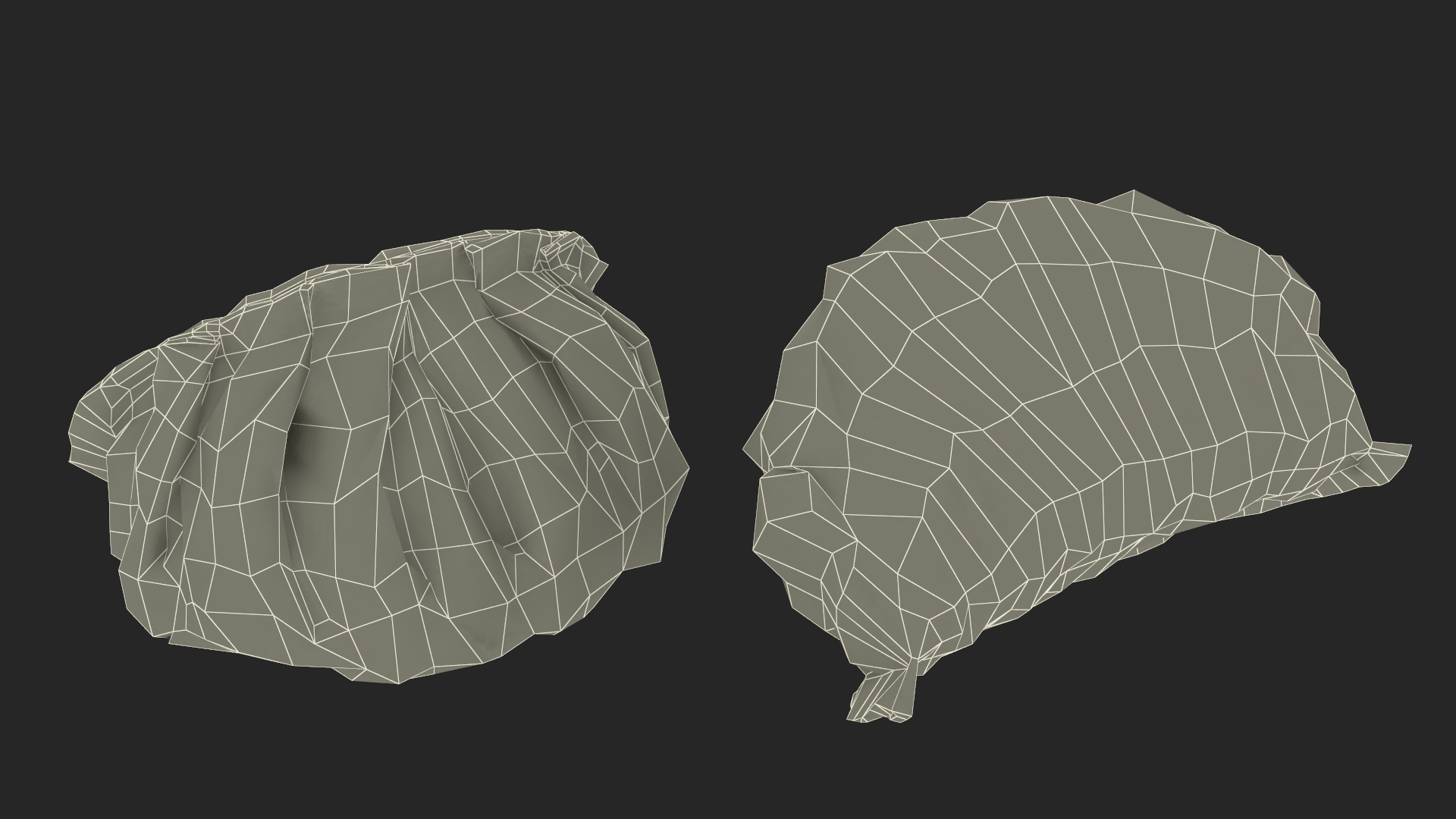 3D Chinese Dumpling Cooked model