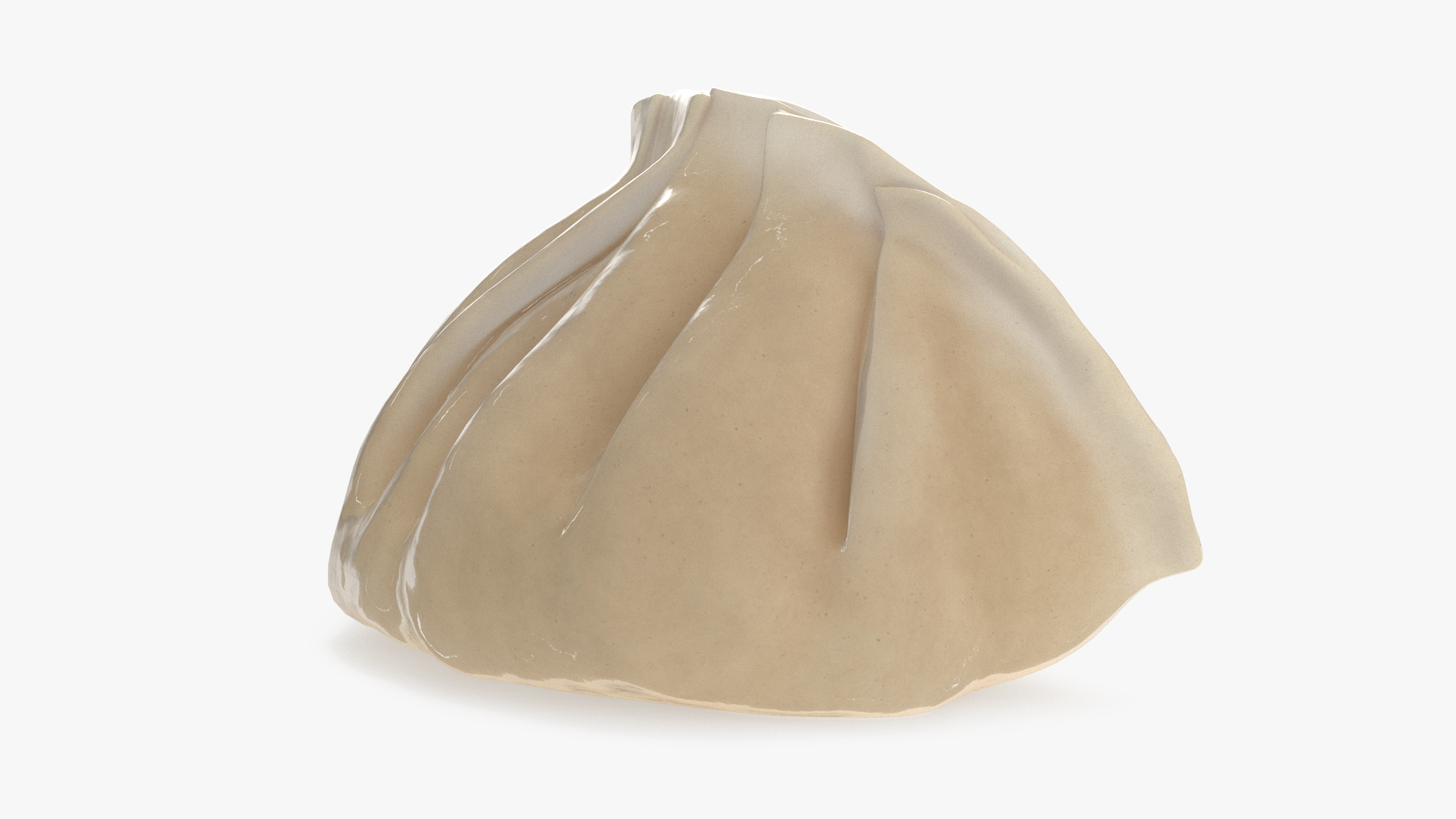3D Chinese Dumpling Cooked model