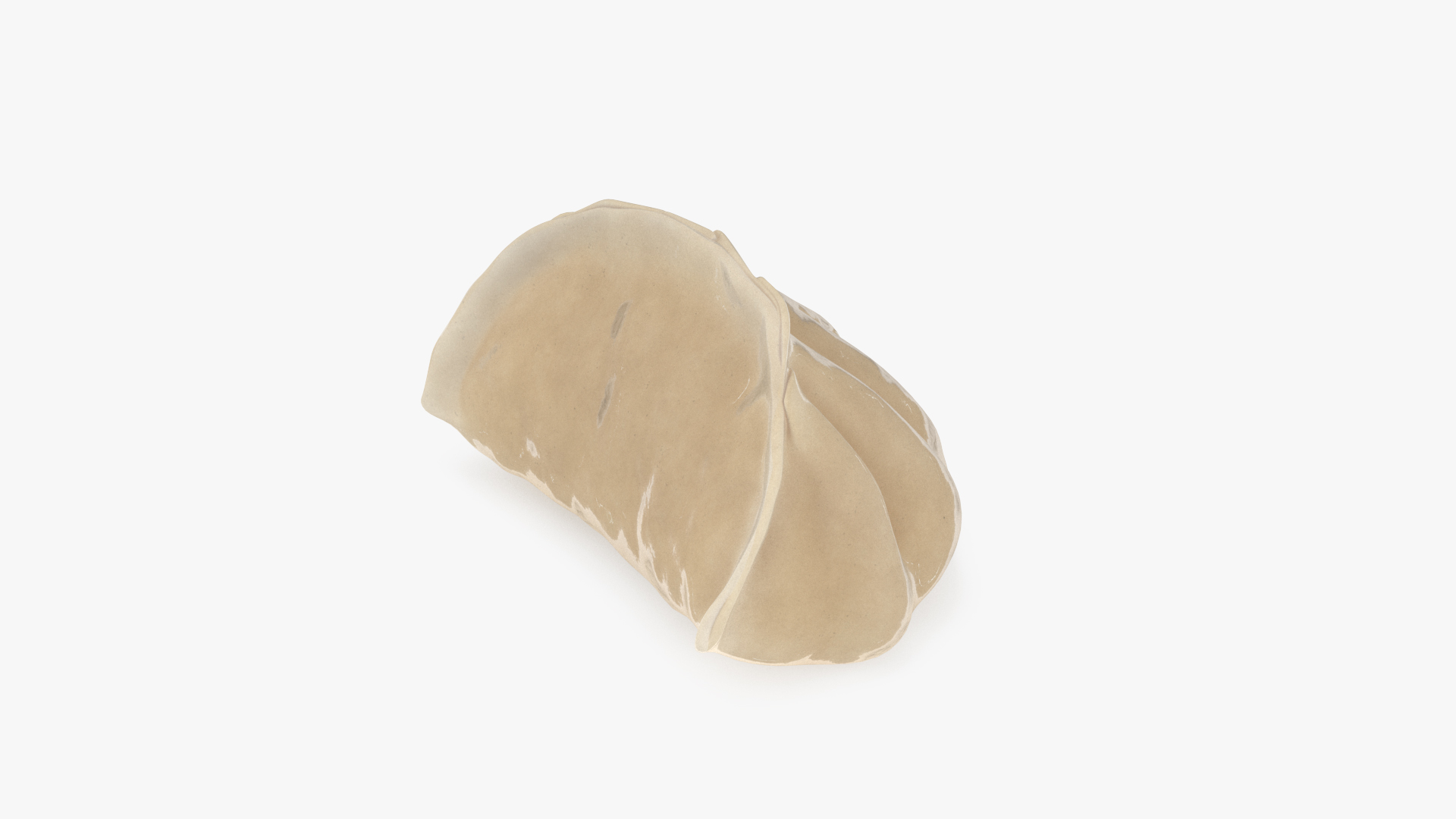 3D Chinese Dumpling Cooked model