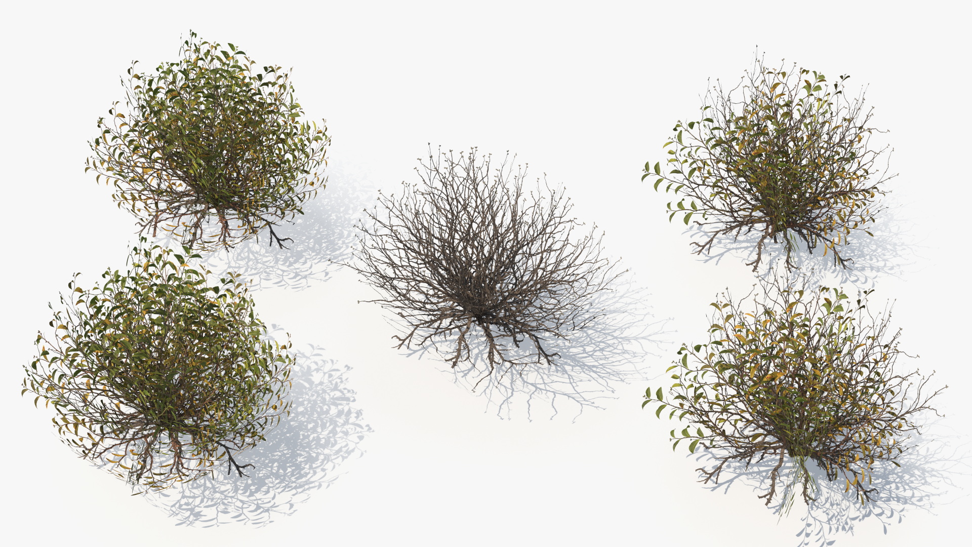 Natural Terrain Set with Stones Bushes and Grass - view 9