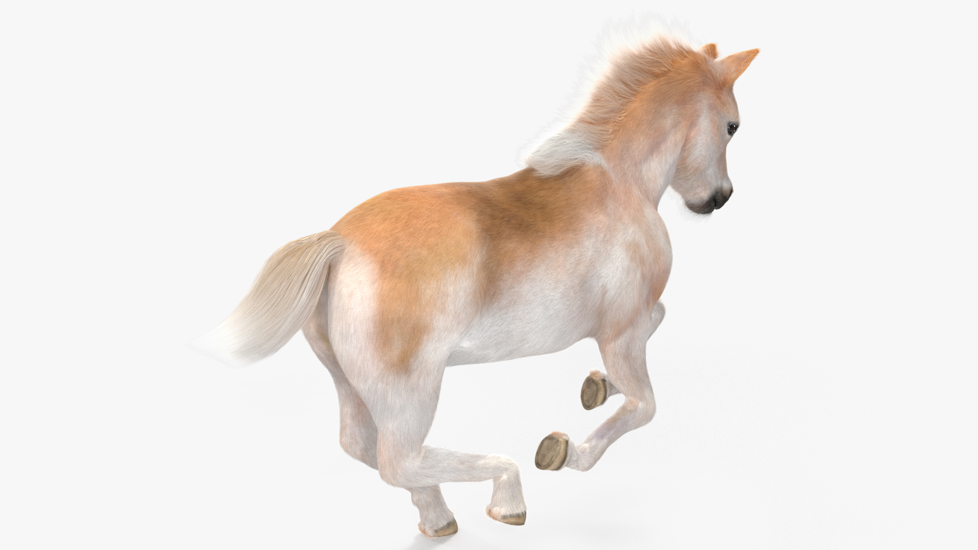 Realistic Shetland Pony Fur Rigged 3D model