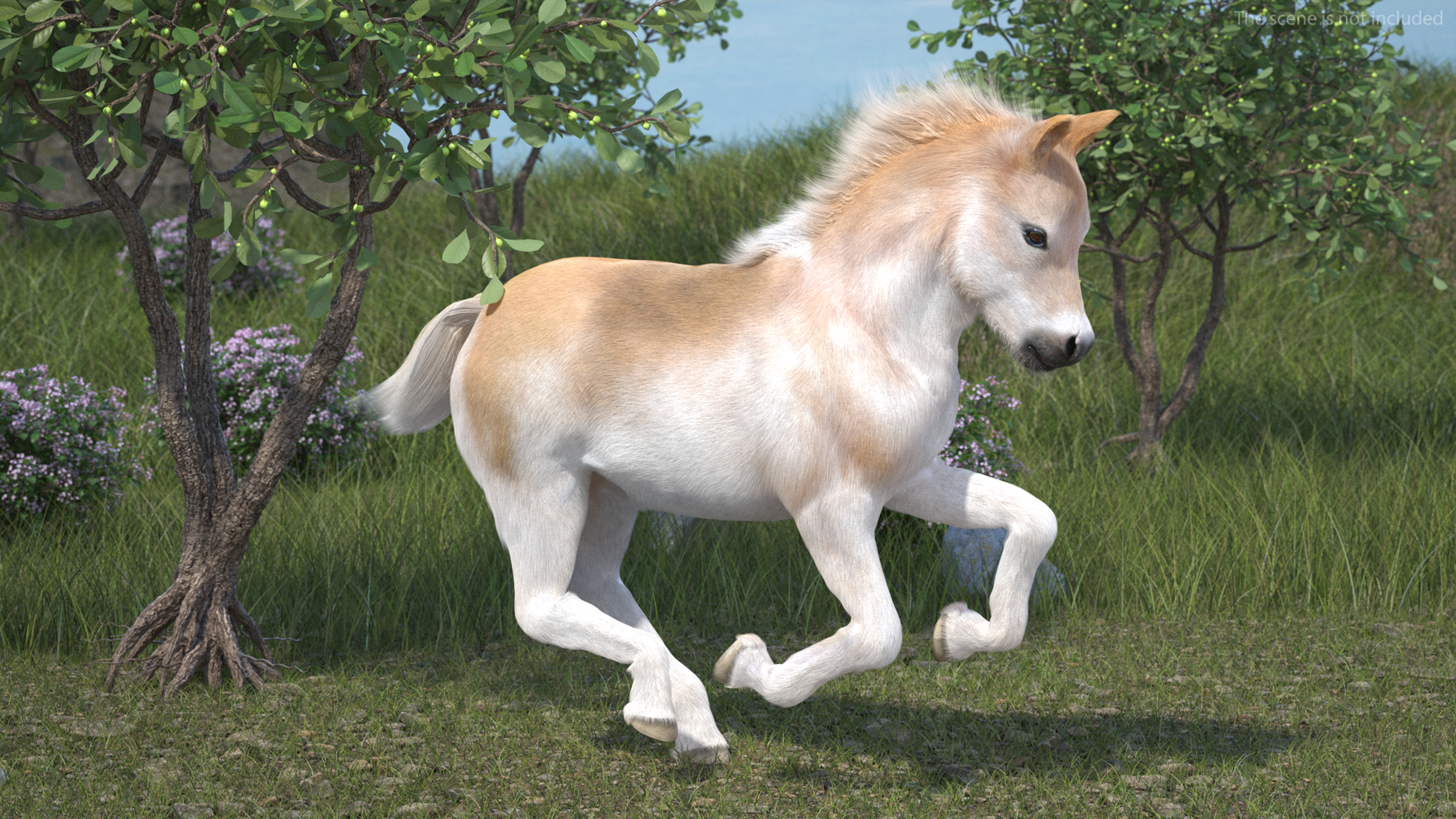 Realistic Shetland Pony Fur Rigged 3D model