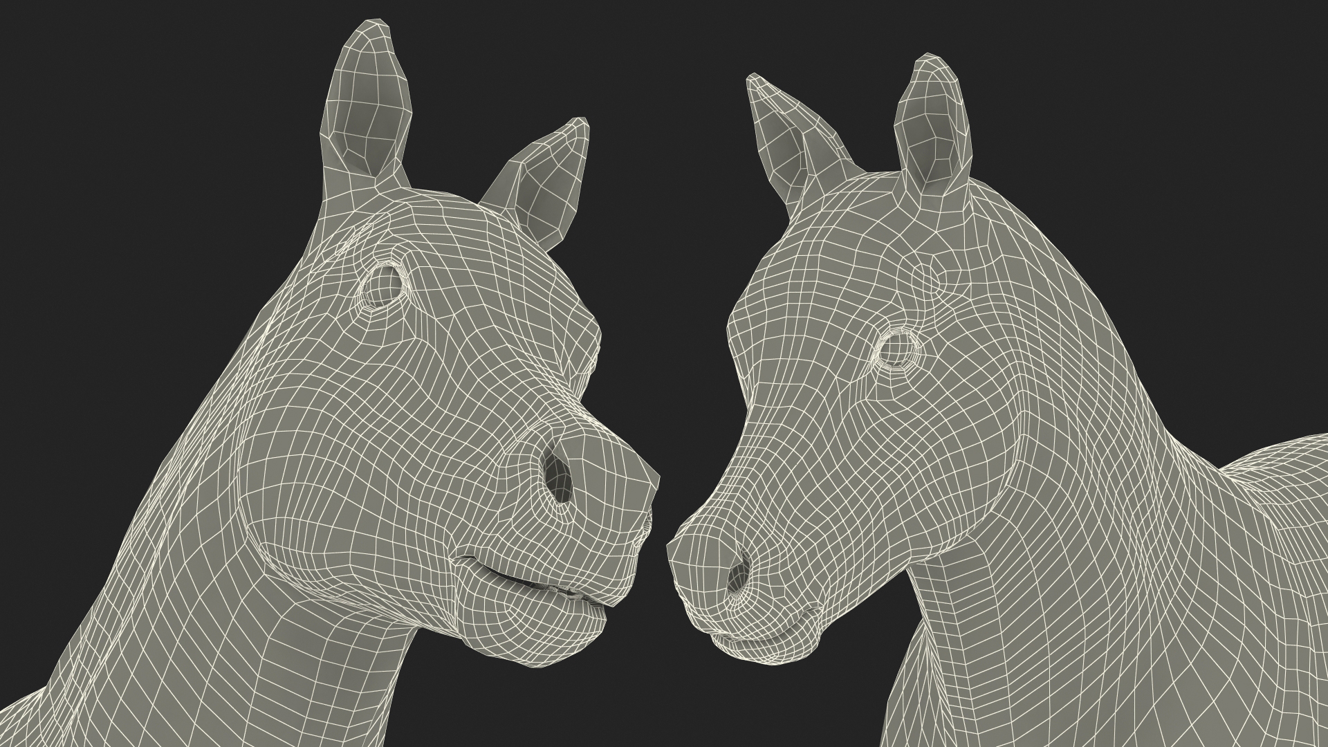 Realistic Shetland Pony Fur Rigged 3D model