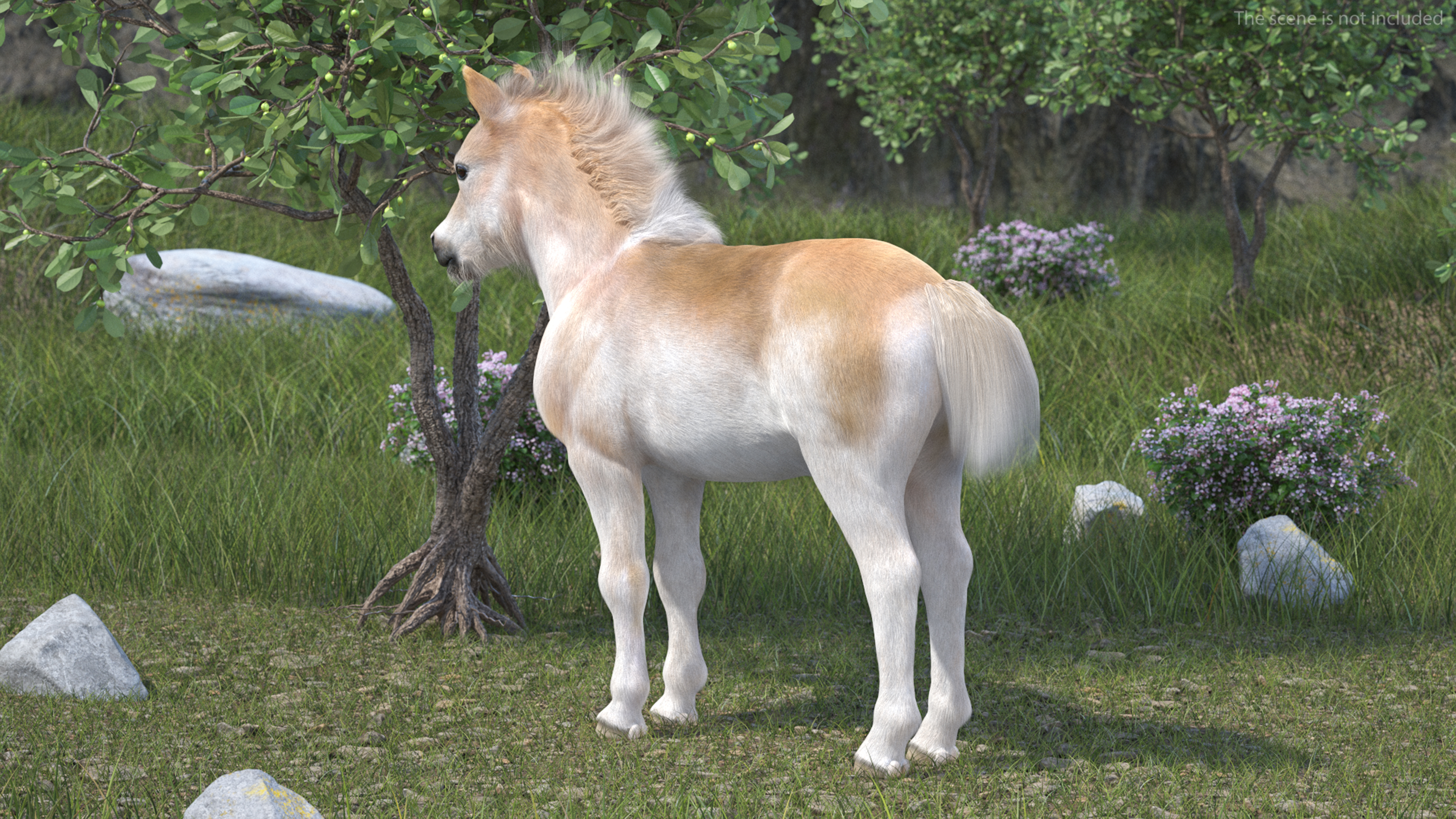 Realistic Shetland Pony Fur Rigged 3D model