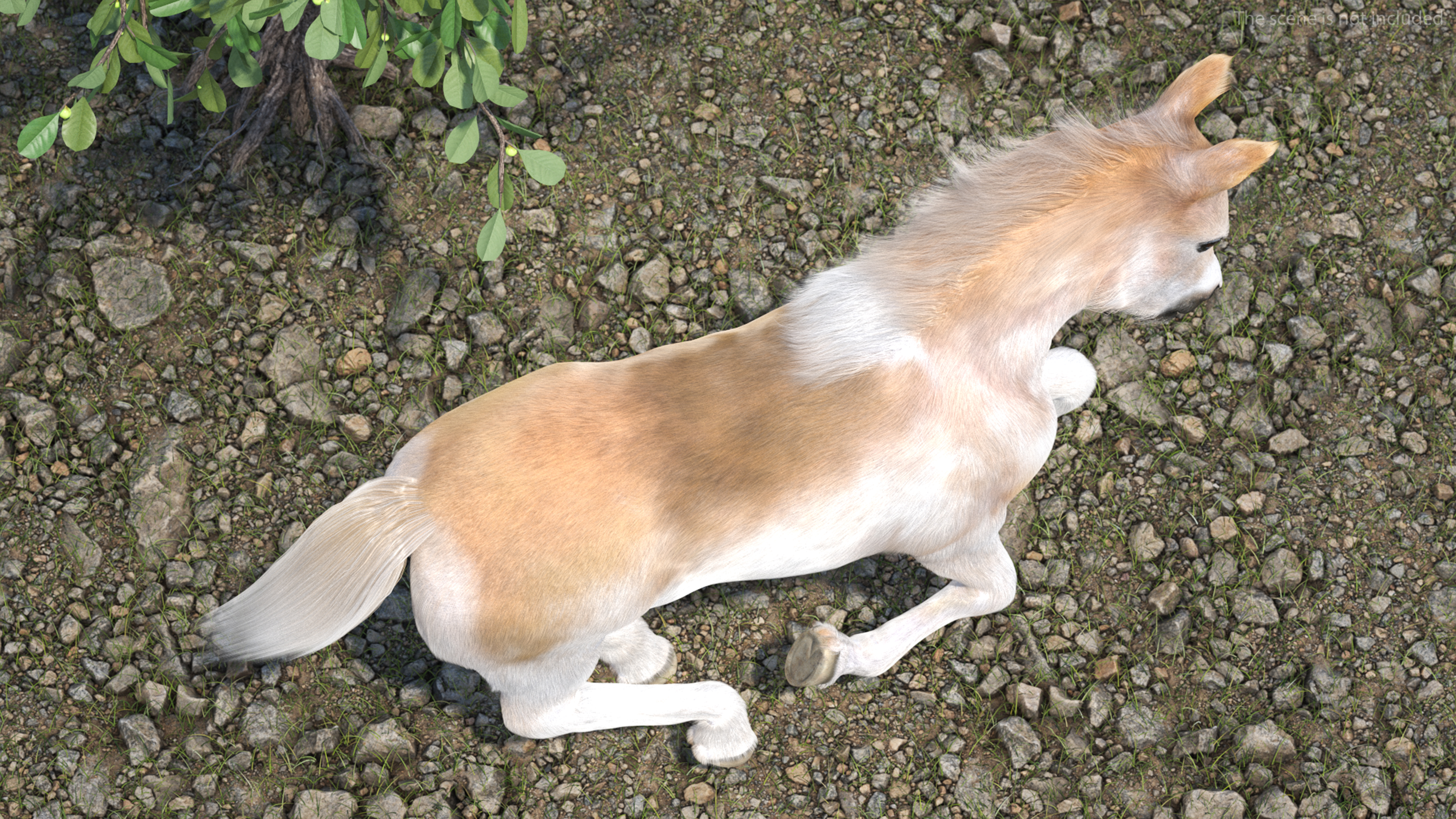 Realistic Shetland Pony Fur Rigged 3D model