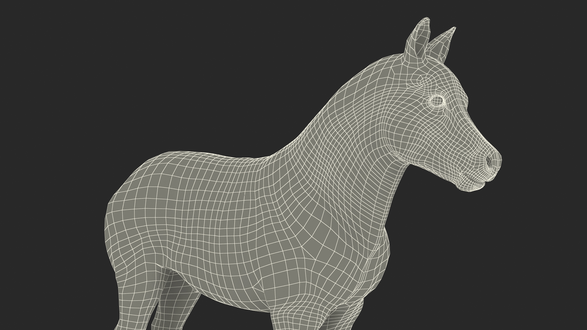 Realistic Shetland Pony Fur Rigged 3D model