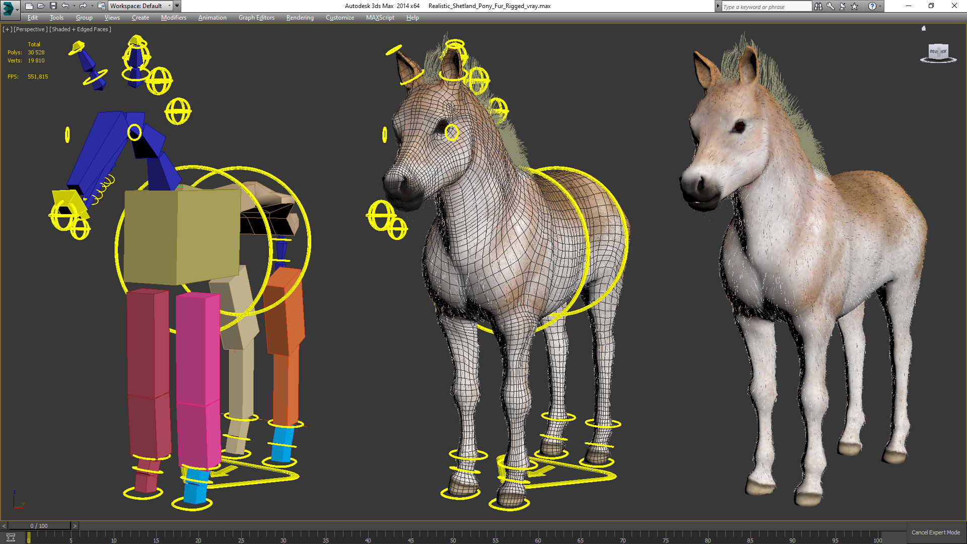 Realistic Shetland Pony Fur Rigged 3D model
