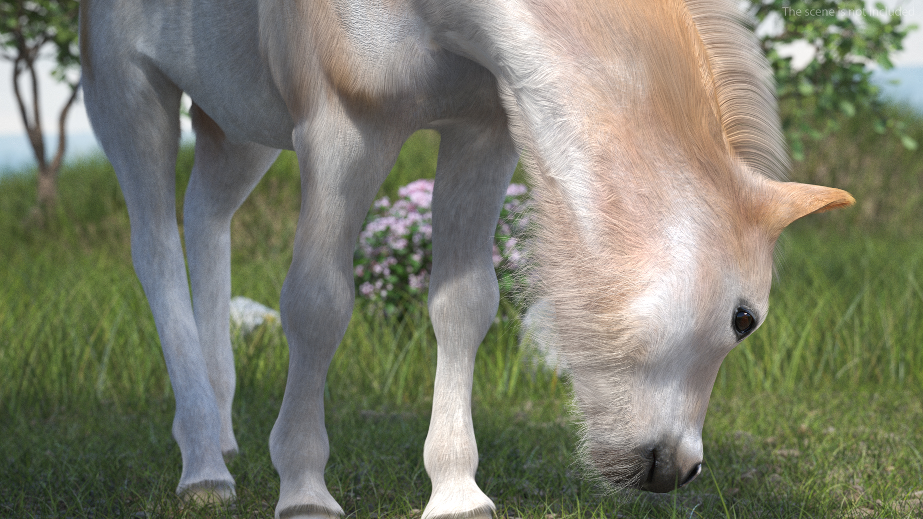 Realistic Shetland Pony Fur Rigged 3D model