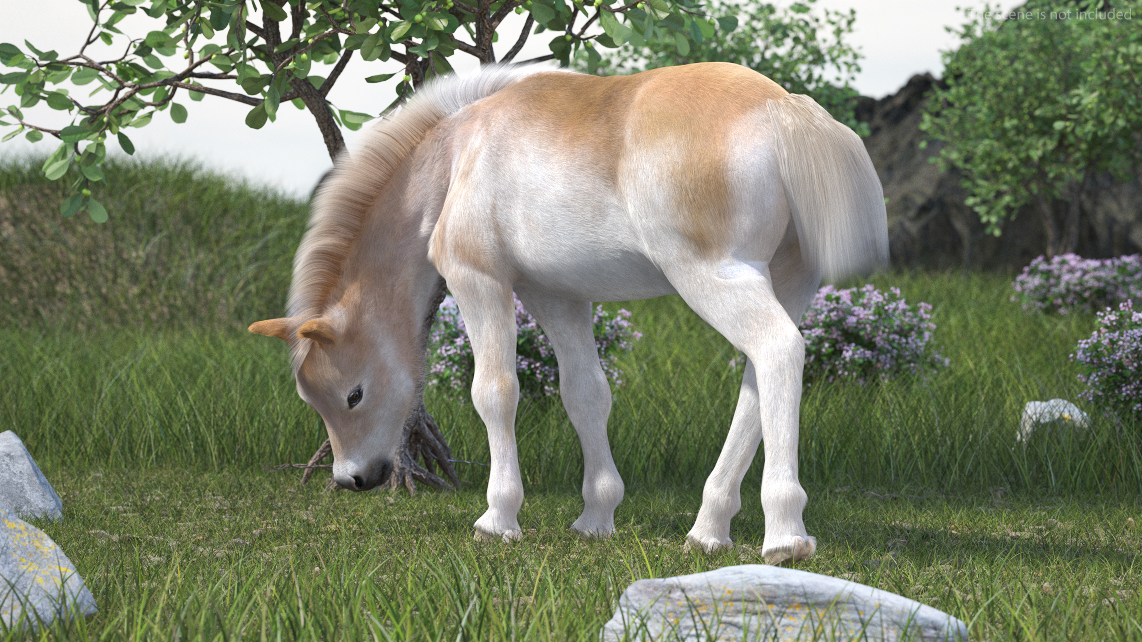 Realistic Shetland Pony Fur Rigged 3D model
