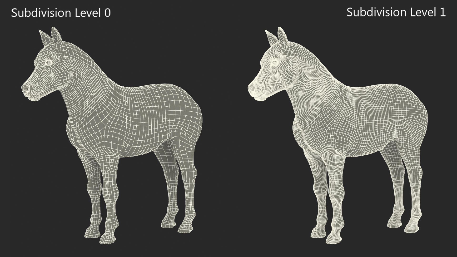 Realistic Shetland Pony Fur Rigged 3D model