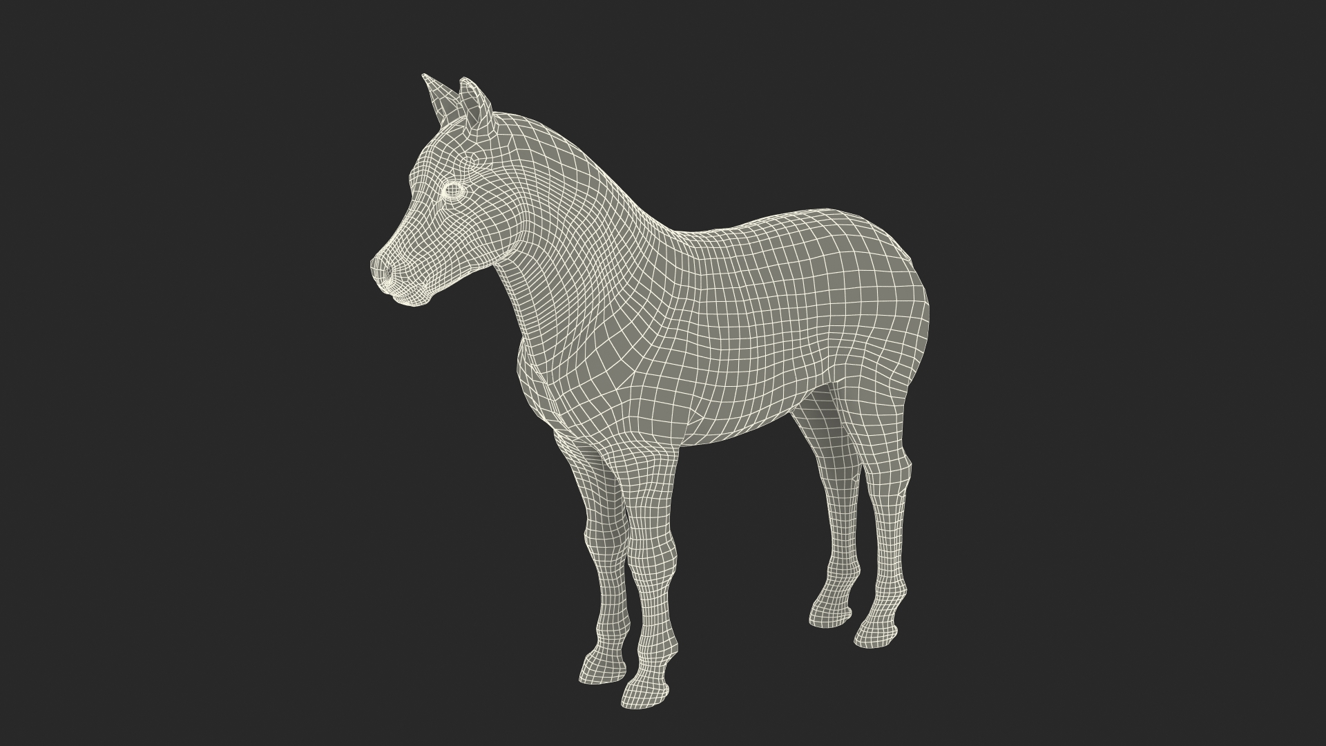 Realistic Shetland Pony Fur Rigged 3D model