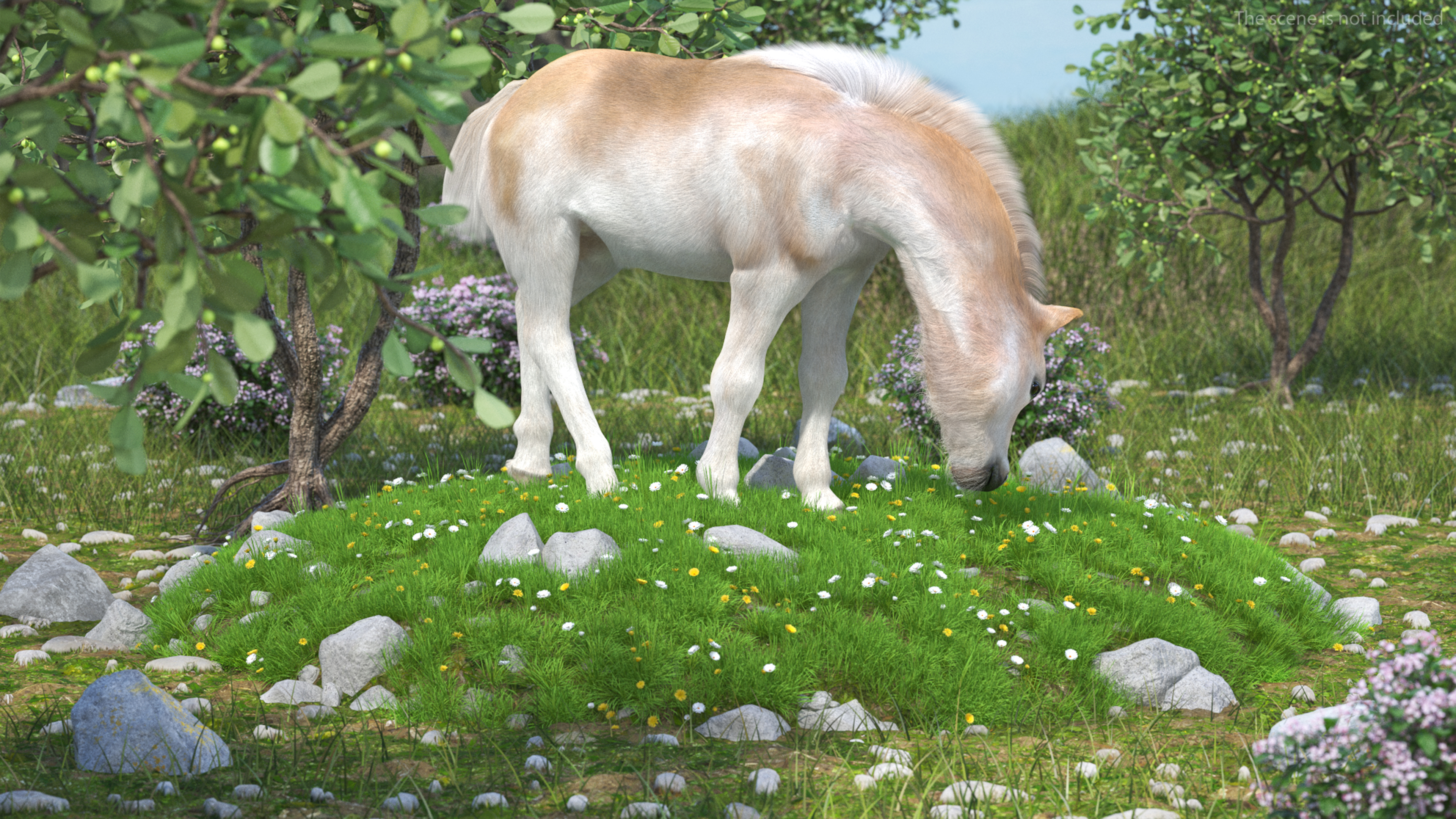 Realistic Shetland Pony Fur Rigged 3D model