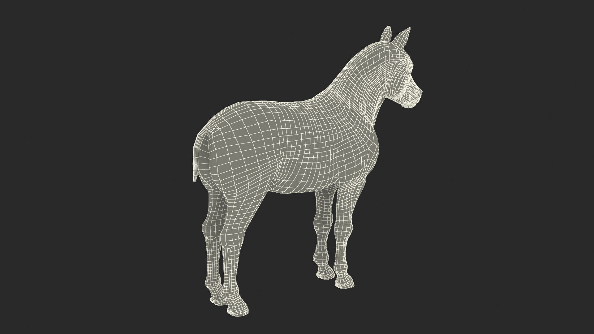 Realistic Shetland Pony Fur Rigged 3D model